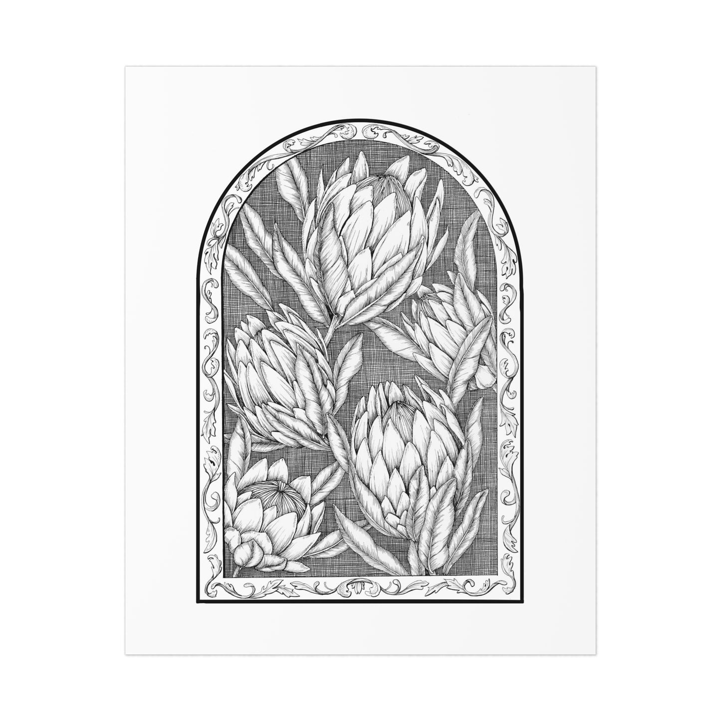 Art Print - Dark Protea - 8"x10"