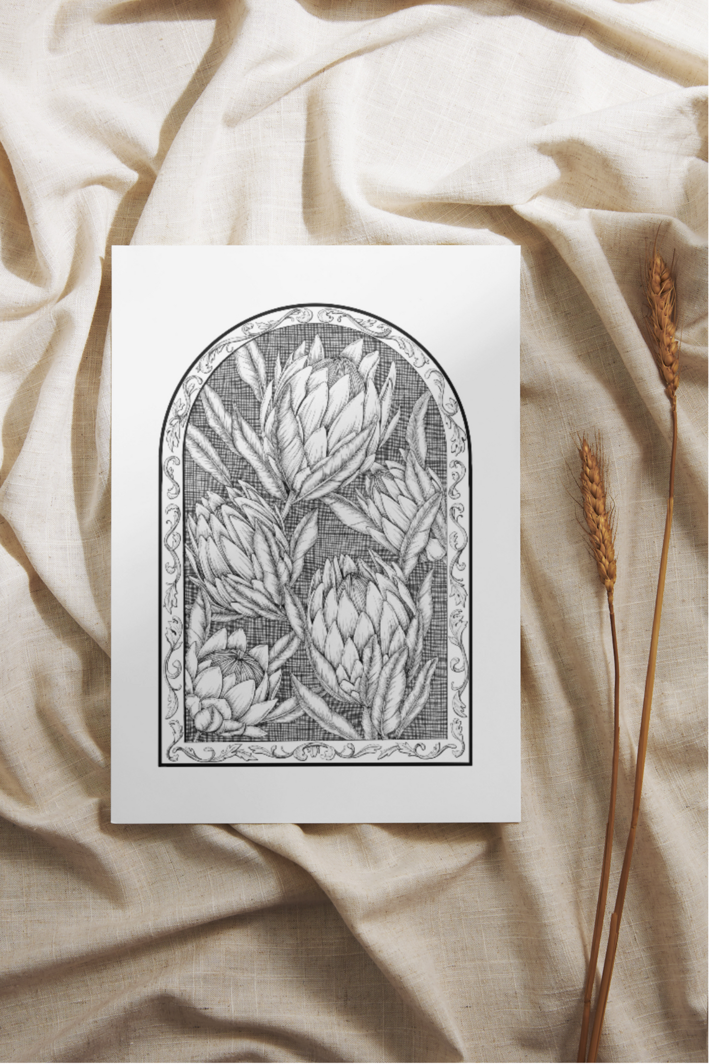 Art Print - Dark Protea - 8"x10"