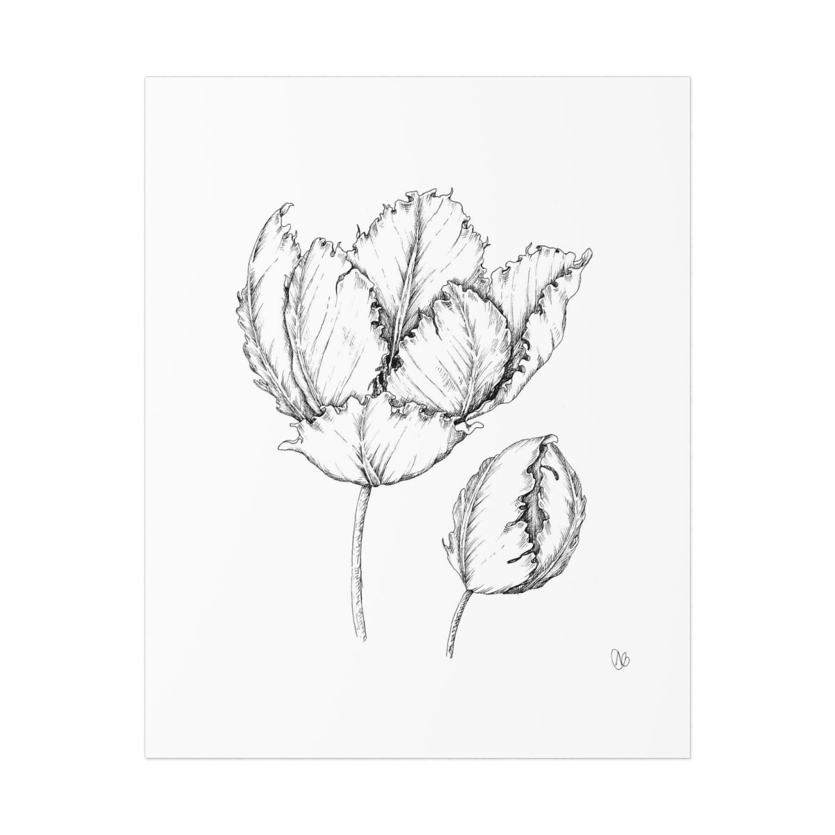 Art Print - Parrot Tulips - 8"x10"